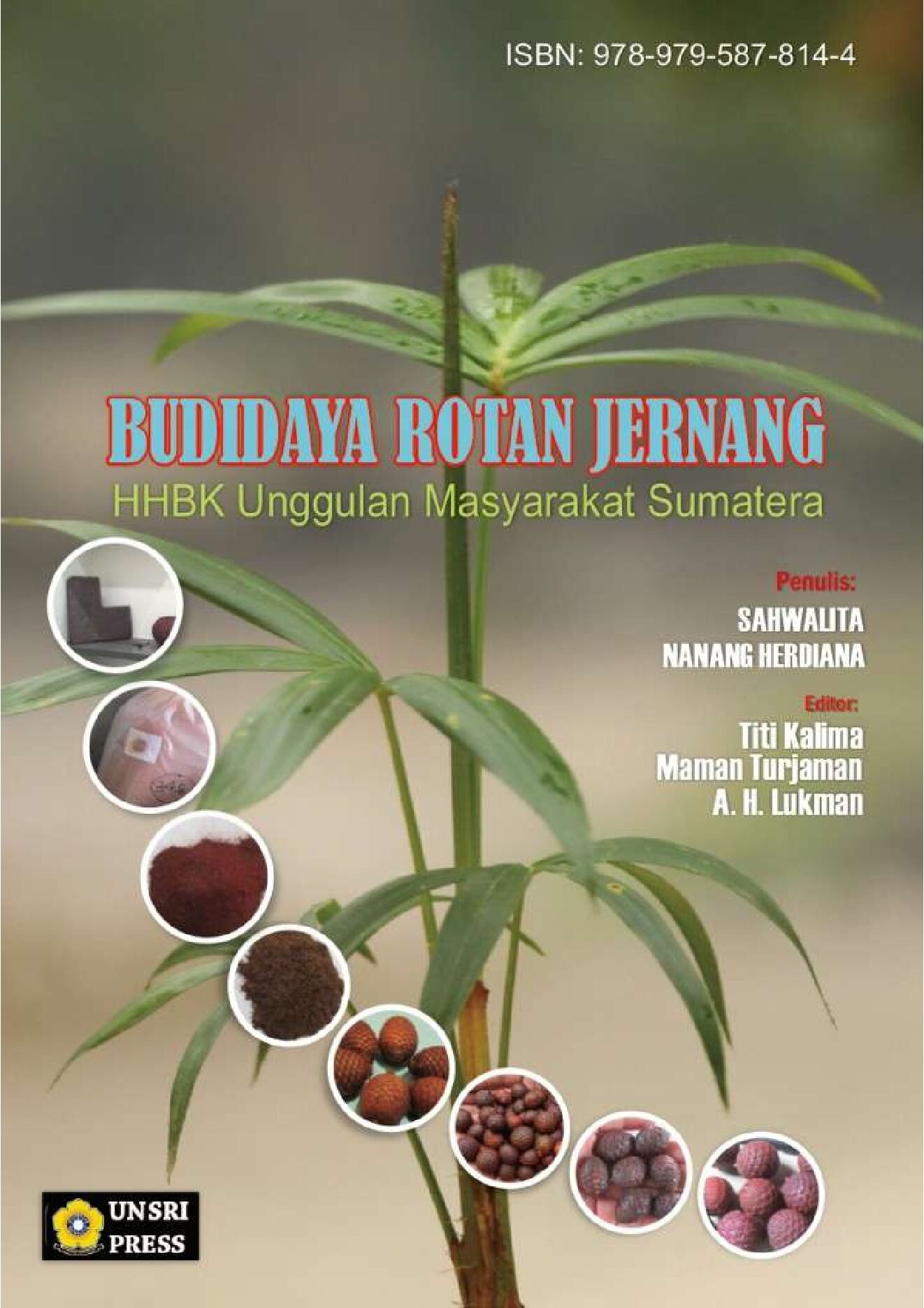 Cover Budidaya Rotan Jernang BP2LHK Palembang